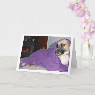 Slaperige Hond bij Open Haard Kaart