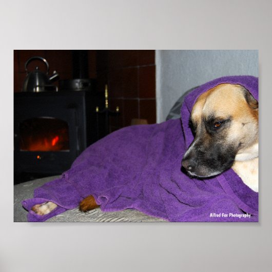 Slaperige Hond bij Open Haard Poster (Voorkant)