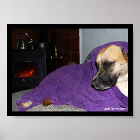 Slaperige Hond bij Open Haard Poster (Voorkant)