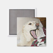 Slaperige hond magneet (Voorkant / Achterkant)
