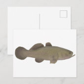 slaperige kabeljauw briefkaart (Voorkant / Achterkant)