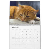 Slaperige kat-fotokalender kalender (Mar 2027)