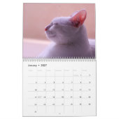 Slaperige kat-fotokalender kalender (Jan 2027)