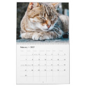Slaperige kat-fotokalender kalender (Feb 2027)