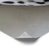 Slaperige kat poster (Hoek)