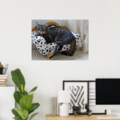 Slaperige kat poster (Thuiskantoor)