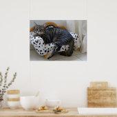 Slaperige kat poster (Keuken)