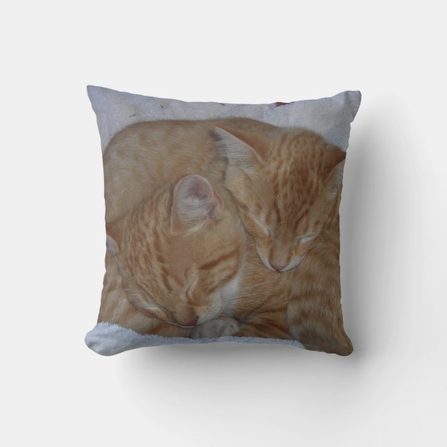 Slaperige katten kussen (Voorkant)