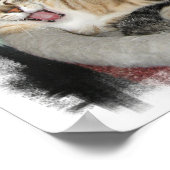 Slaperige katten poster (Hoek)