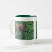 Slaperige katten tweekleurige koffiemok (Voorkant links)