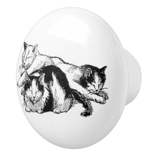 Slaperige katten | witte en zwarte katten keramische knop (Rechts)