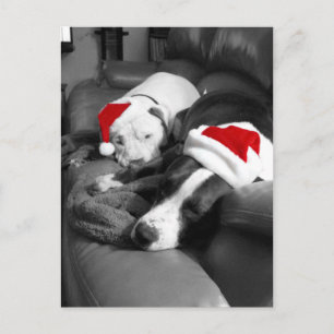 slaperige kerst pitbull puppy's schattig kerstman feestdagenkaart