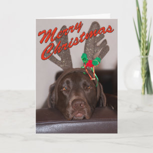 Slaperige Kerstmis Labrador Met Festieve Gewei Feestdagen Kaart