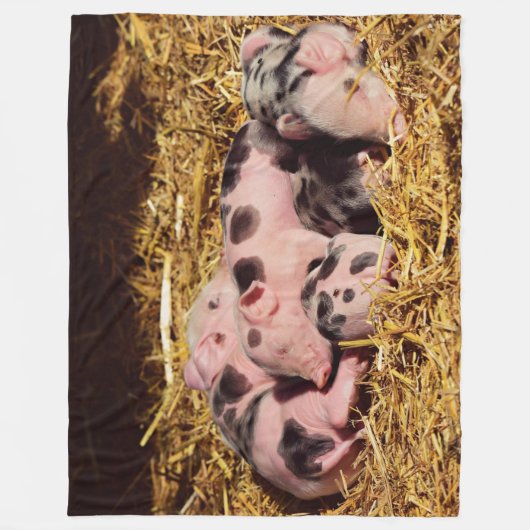 SLAPERIGE KLEINE BIGGEN FLEECE DEKEN (Voorkant)