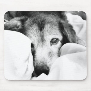slaperige knuffel hond op bed zwart wit grijs muismat