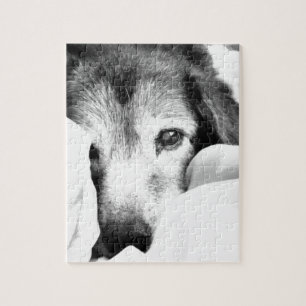 slaperige knuffel hond op bed zwart wit legpuzzel