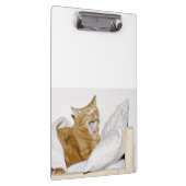 Slaperige oranje kat klembord (Rechts)