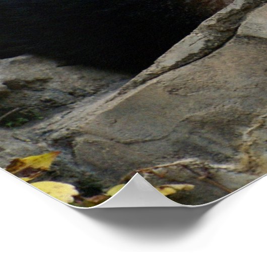 slaperige panda poster (Hoek)