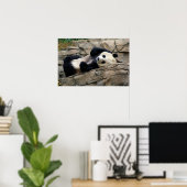 slaperige panda poster (Thuiskantoor)