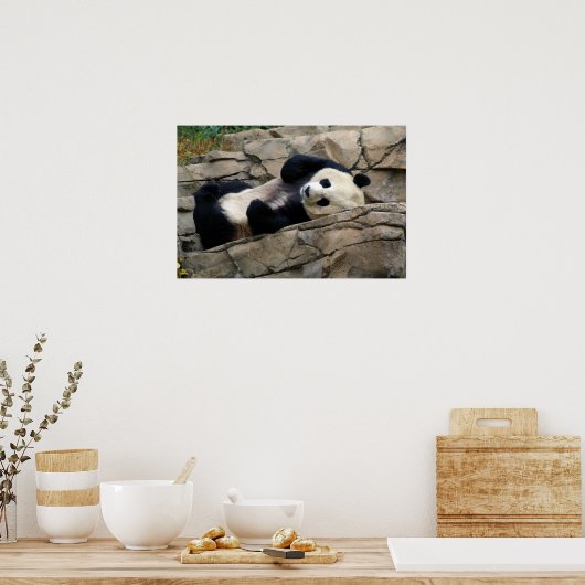 slaperige panda poster (Keuken)