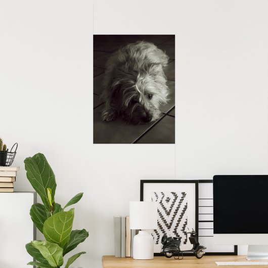 Slaperige poster (Thuiskantoor)