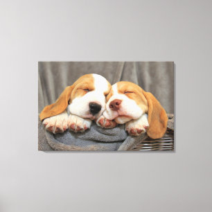 Slaperige Puppies Canvas Afdruk