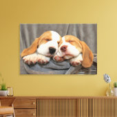 Slaperige Puppies Canvas Afdruk (Insitu (Woonkamer))