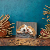 Slaperige Puppies Fotoplaat (Zijkant)