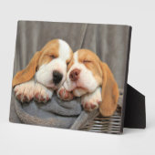 Slaperige Puppies Fotoplaat (Zijkant)