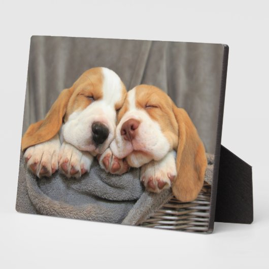 Slaperige Puppies Fotoplaat (Zijkant)