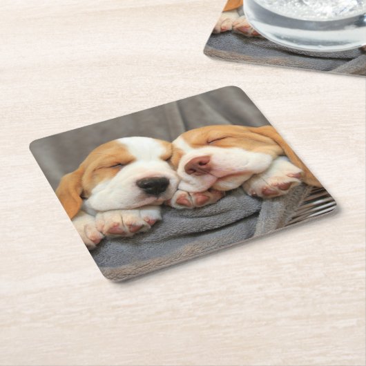 Slaperige Puppies Kartonnen Onderzetters (Schuin)