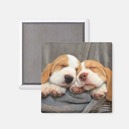 Slaperige Puppies Magneet (Voorkant / Achterkant)