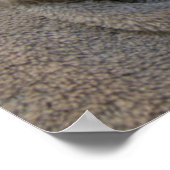 Slaperige Puppies Poster (Hoek)