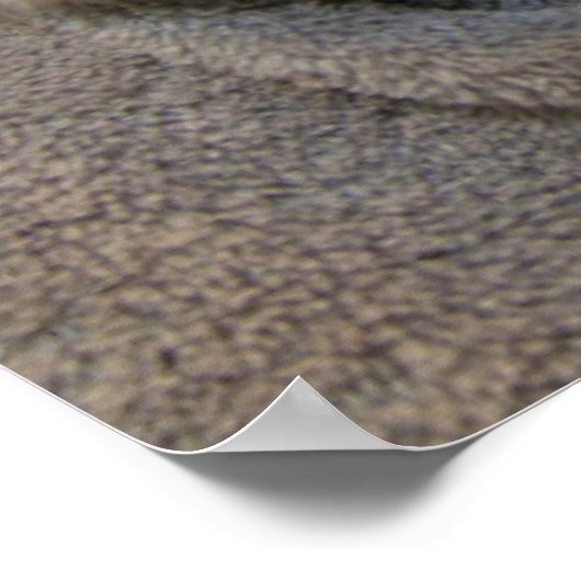 Slaperige Puppies Poster (Hoek)