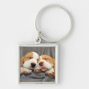 Slaperige Puppies Sleutelhanger