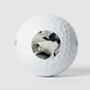 Slaperige puppy pitbull en baby knuffels golfballen