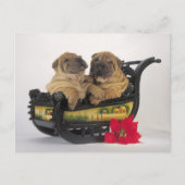 slaperige shar peihonden in de slee van santa feestdagenkaart (Voorkant)