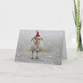 Slaperige Strandlopers Kerst Kaart