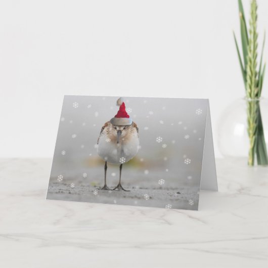 Slaperige Strandlopers Kerstmis Kaart (Voorkant)