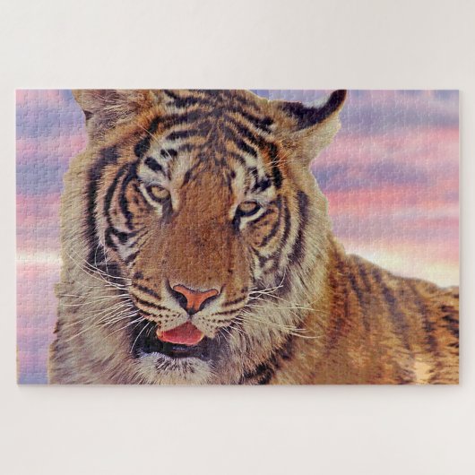 Slaperige tijger bij zonsondergang, grote kat legpuzzel (Horizontaal)