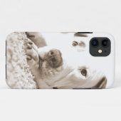 slaperige vriendelijke witte pitbull haat daad nie Case-Mate iPhone case (Achterkant (horizontaal))