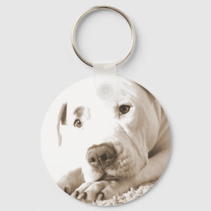 slaperige vriendelijke witte pitbull haat daad nie sleutelhanger