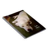 Slaperige Witte Hond Groene Notitieboek (Rechterzijde)