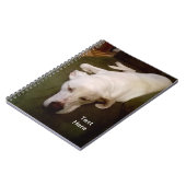 Slaperige Witte Hond Groene Notitieboek (Linkerzijde)
