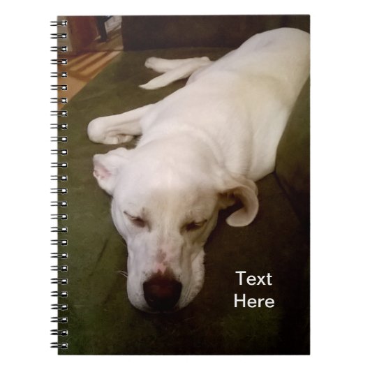 Slaperige Witte Hond Groene Notitieboek (Voorkant)