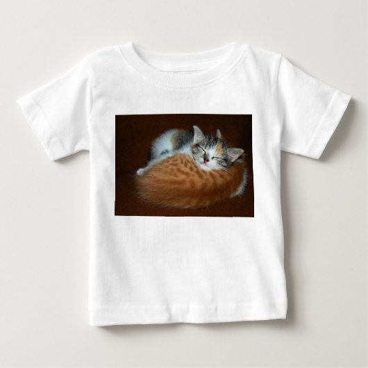 Slaperige zachte kittens (Voorkant)