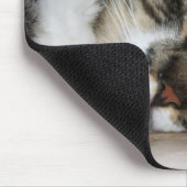 Slaperige Zorro Kat Muismat (Hoek)