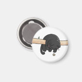 Slaperige Zwarte Kat Schattig Magneet (Voorkant / Achterkant)