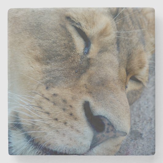 Slaperigheid Stenen Onderzetter (Voorkant)