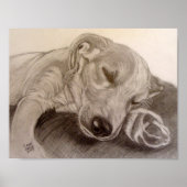 Slaperij Poster (Voorkant)